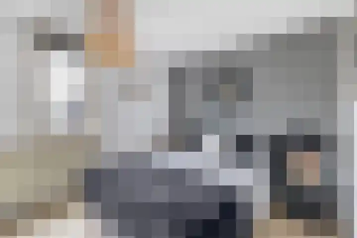 Zuiderkruis 79 Lisse thumbnail 25