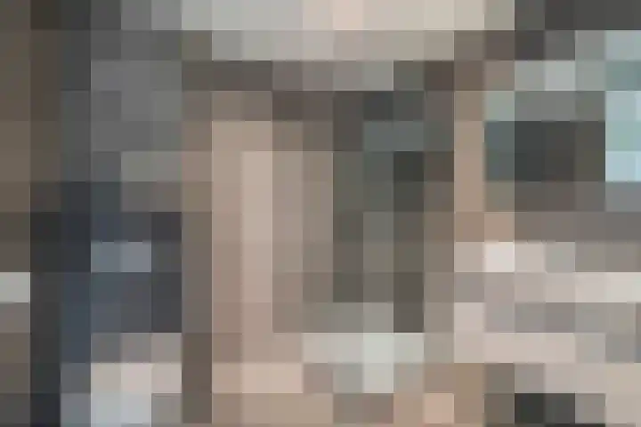 Zuiderkruis 79 Lisse thumbnail 27