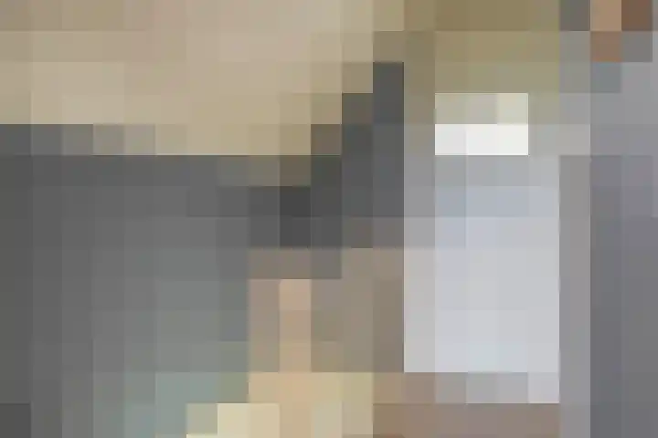 Zuiderkruis 79 Lisse thumbnail 29