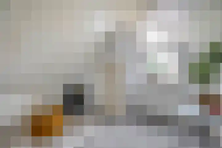 Zuiderkruis 79 Lisse thumbnail 30