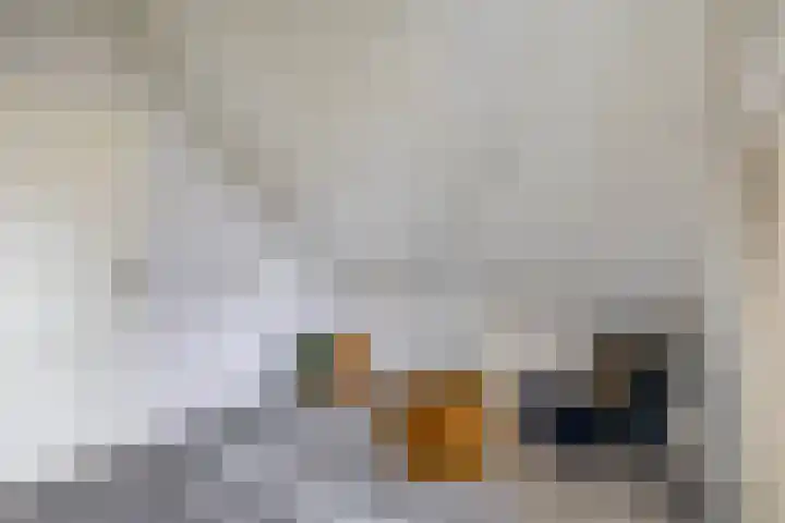Zuiderkruis 79 Lisse thumbnail 31