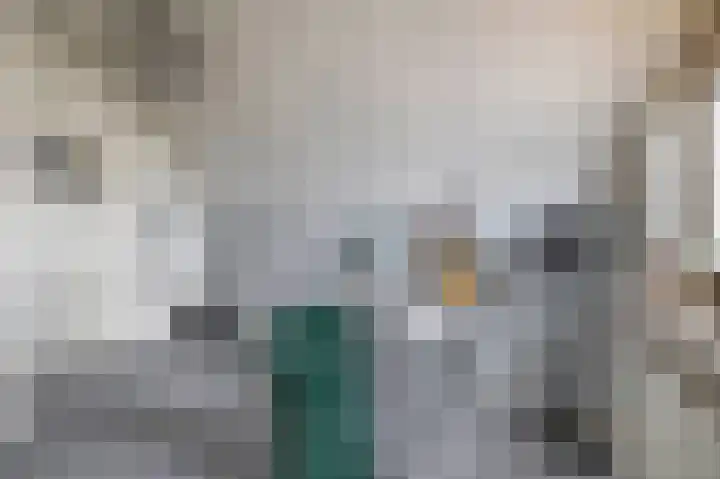 Zuiderkruis 79 Lisse thumbnail 32