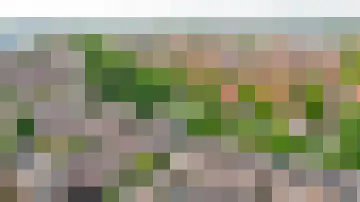 Zuiderkruis 79 Lisse thumbnail 34