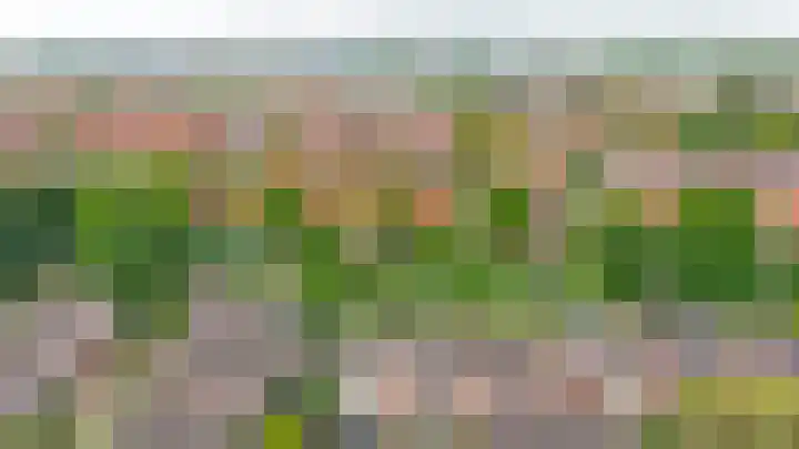 Zuiderkruis 79 Lisse thumbnail 35