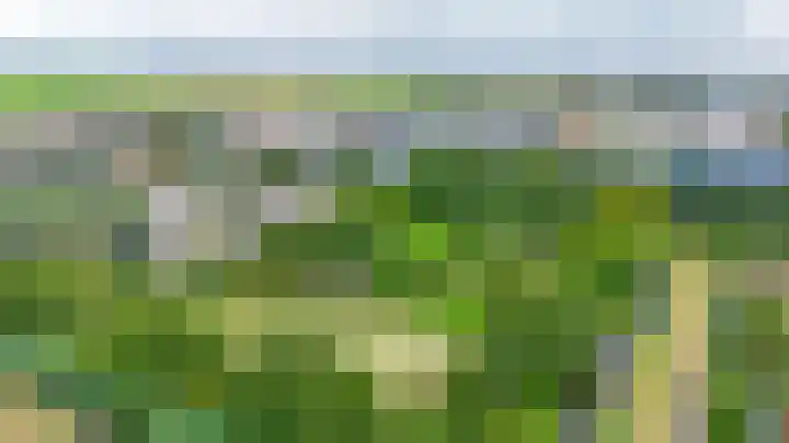 Zuiderkruis 79 Lisse thumbnail 37