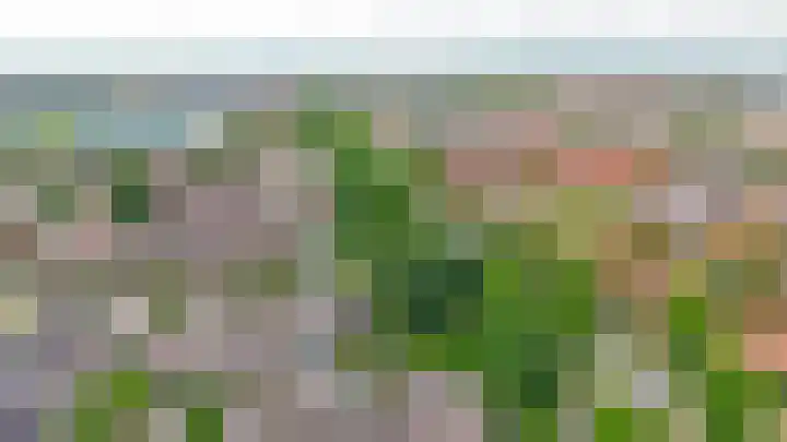 Zuiderkruis 79 Lisse thumbnail 38