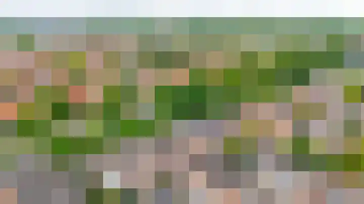 Zuiderkruis 79 Lisse thumbnail 39