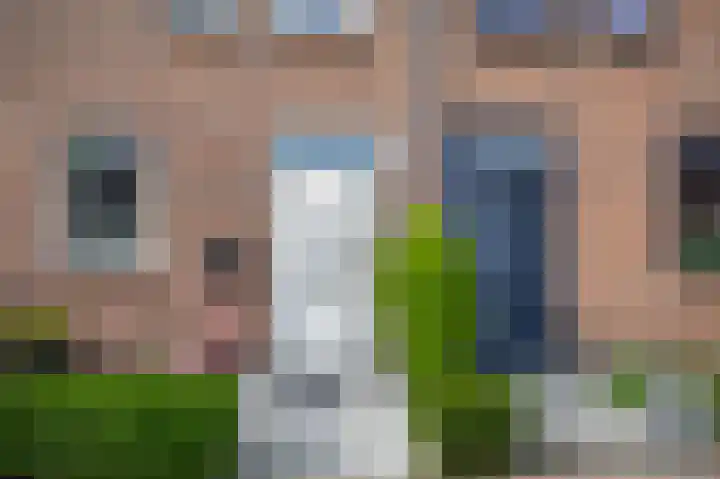 Zuiderkruis 79 Lisse thumbnail 4
