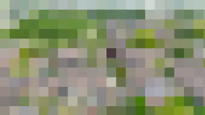 Zuiderkruis 79 Lisse thumbnail 40