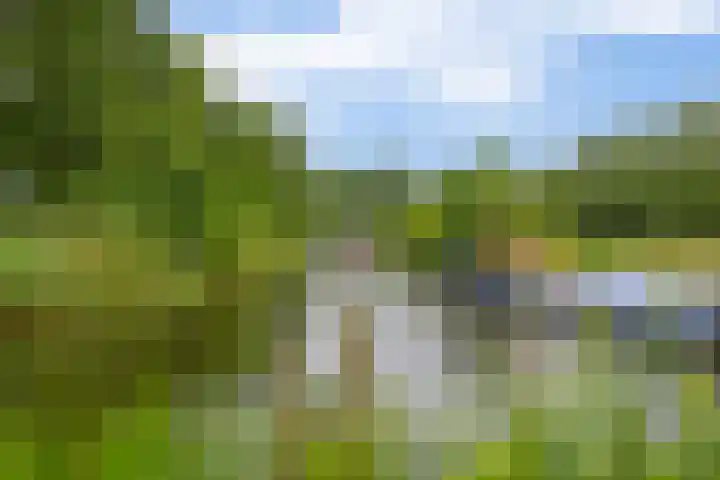 Zuiderkruis 79 Lisse thumbnail 41