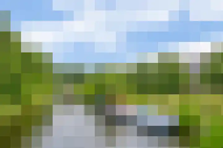Zuiderkruis 79 Lisse thumbnail 42