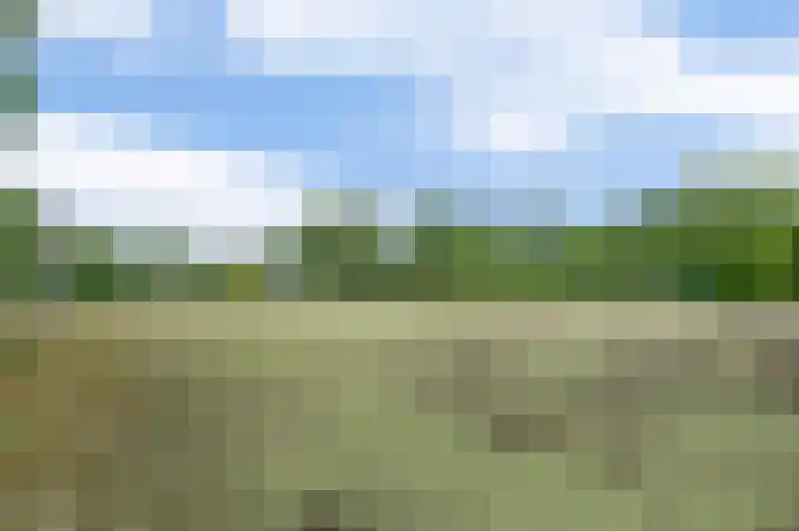 Zuiderkruis 79 Lisse thumbnail 43