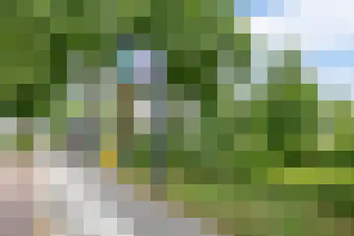 Zuiderkruis 79 Lisse thumbnail 44