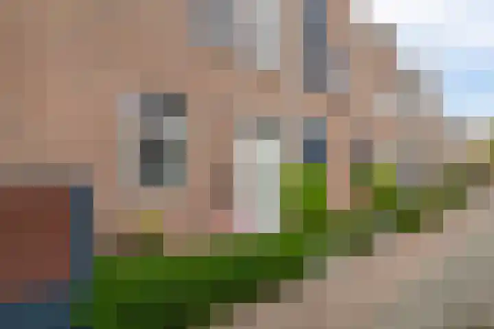 Zuiderkruis 79 Lisse thumbnail 45