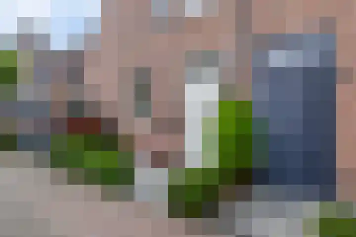 Zuiderkruis 79 Lisse thumbnail 46