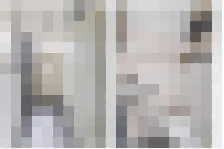 Zuiderkruis 79 Lisse thumbnail 5