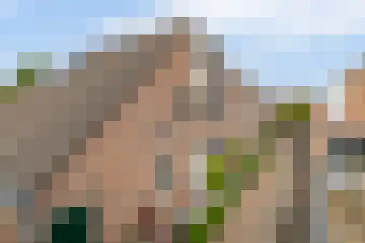Zuiderkruis 79 Lisse thumbnail 59
