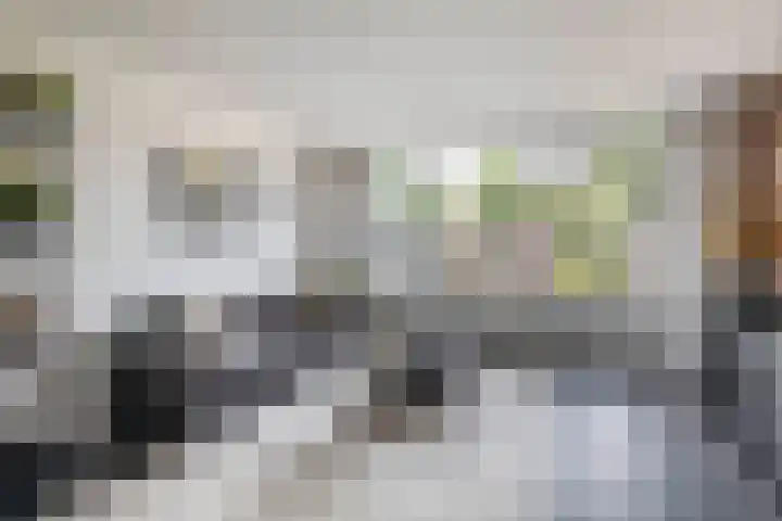 Zuiderkruis 79 Lisse thumbnail 6