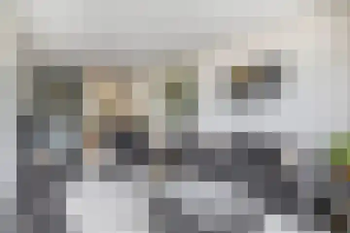 Zuiderkruis 79 Lisse thumbnail 9