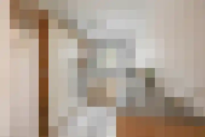 Zuiderkruis 91 Lisse thumbnail 11