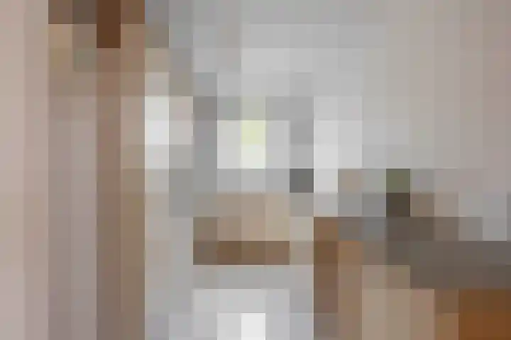 Zuiderkruis 91 Lisse thumbnail 12