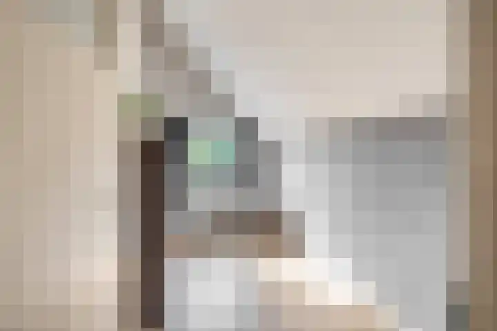 Zuiderkruis 91 Lisse thumbnail 22