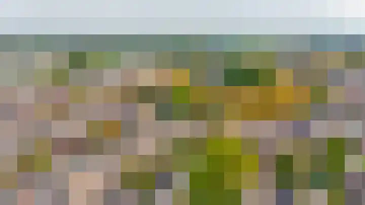 Zuiderkruis 91 Lisse thumbnail 31