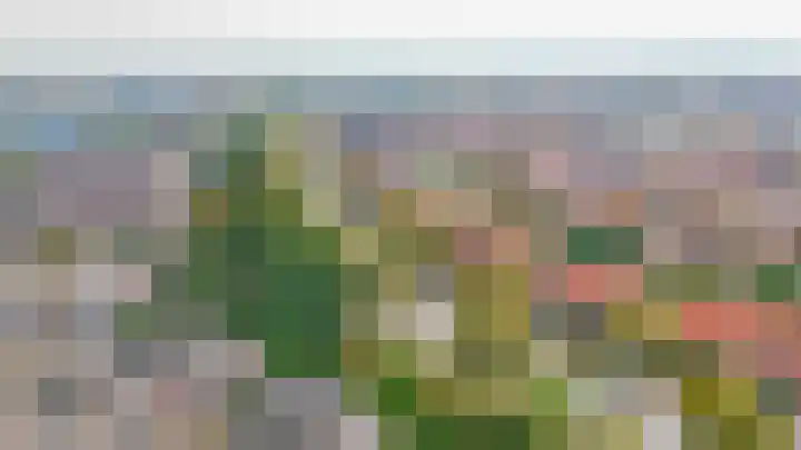 Zuiderkruis 91 Lisse thumbnail 32