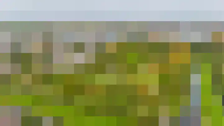 Zuiderkruis 91 Lisse thumbnail 36