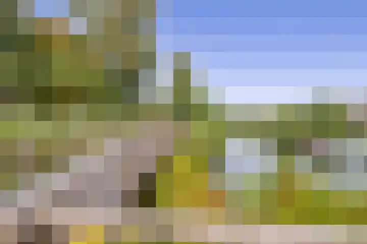 Zuiderkruis 91 Lisse thumbnail 38