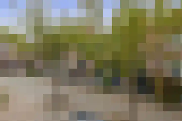 Zuiderkruis 91 Lisse thumbnail 39