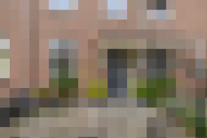 Zuiderkruis 91 Lisse thumbnail 4