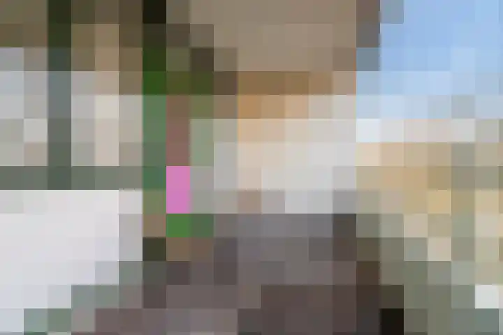 Zuiderkruis 98 Veenendaal thumbnail 14