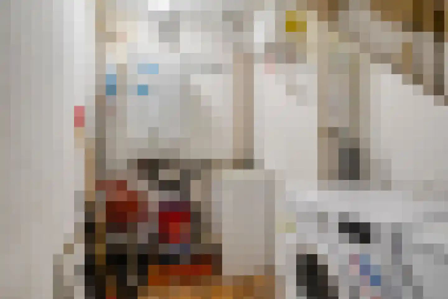 Zuiderkuipen 17 Groningen thumbnail 6