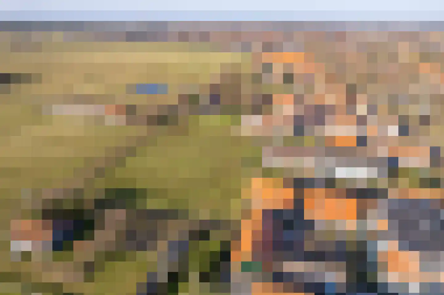 Zuiderlaan 11 001 Hollum thumbnail 32