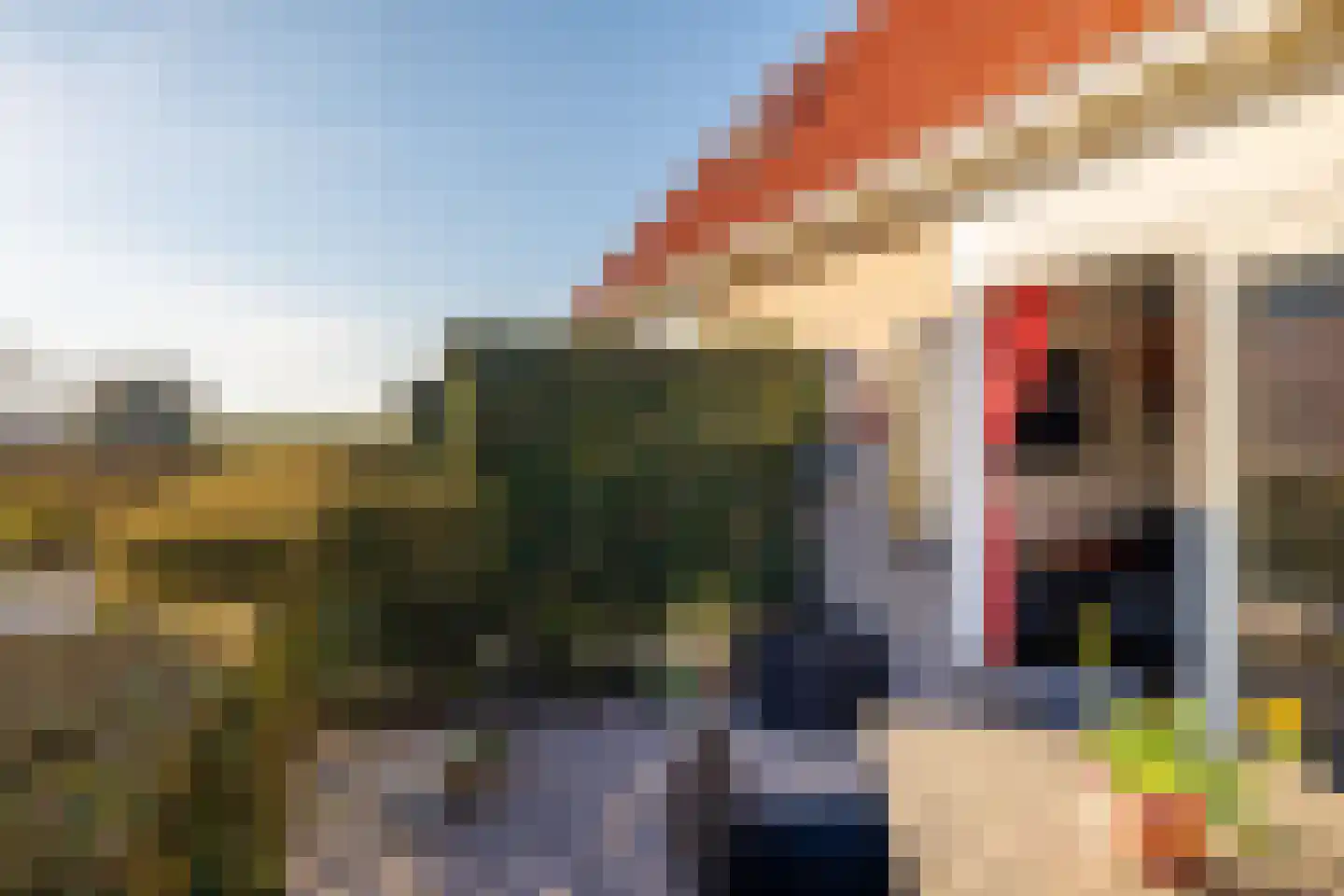 Zuiderlaan 11 003 Hollum thumbnail 29