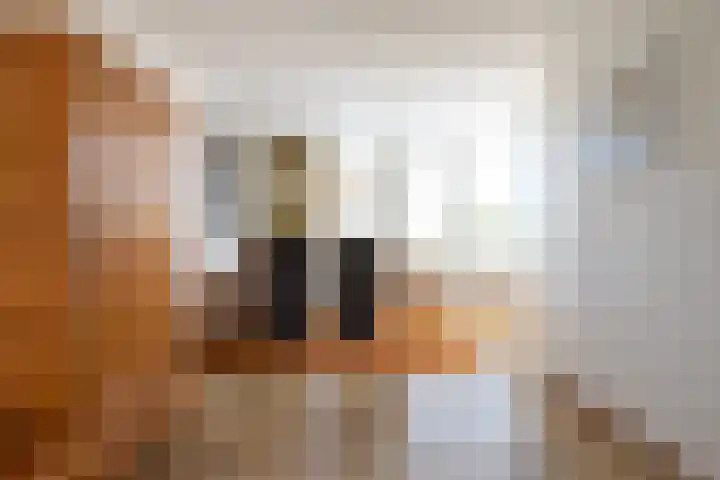 Zuiderlaan 14 Apeldoorn thumbnail 14