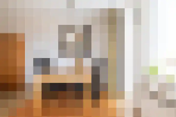 Zuiderlaan 14 Apeldoorn thumbnail 17