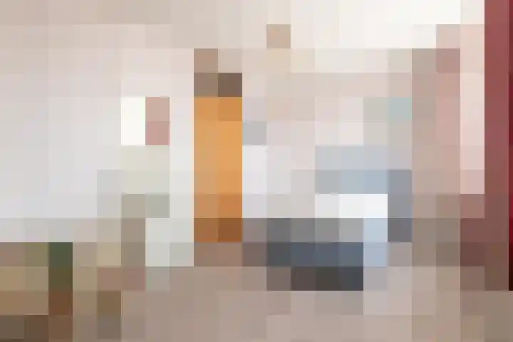 Zuiderlaan 14 Apeldoorn thumbnail 31