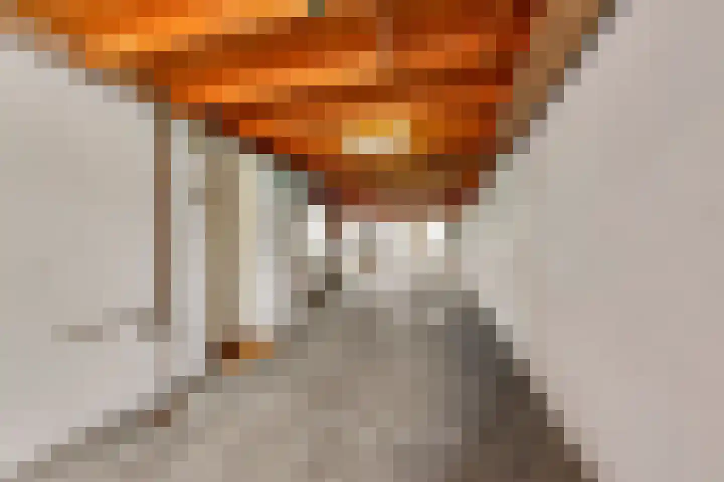 Zuiderlaan 19 Didam thumbnail 11