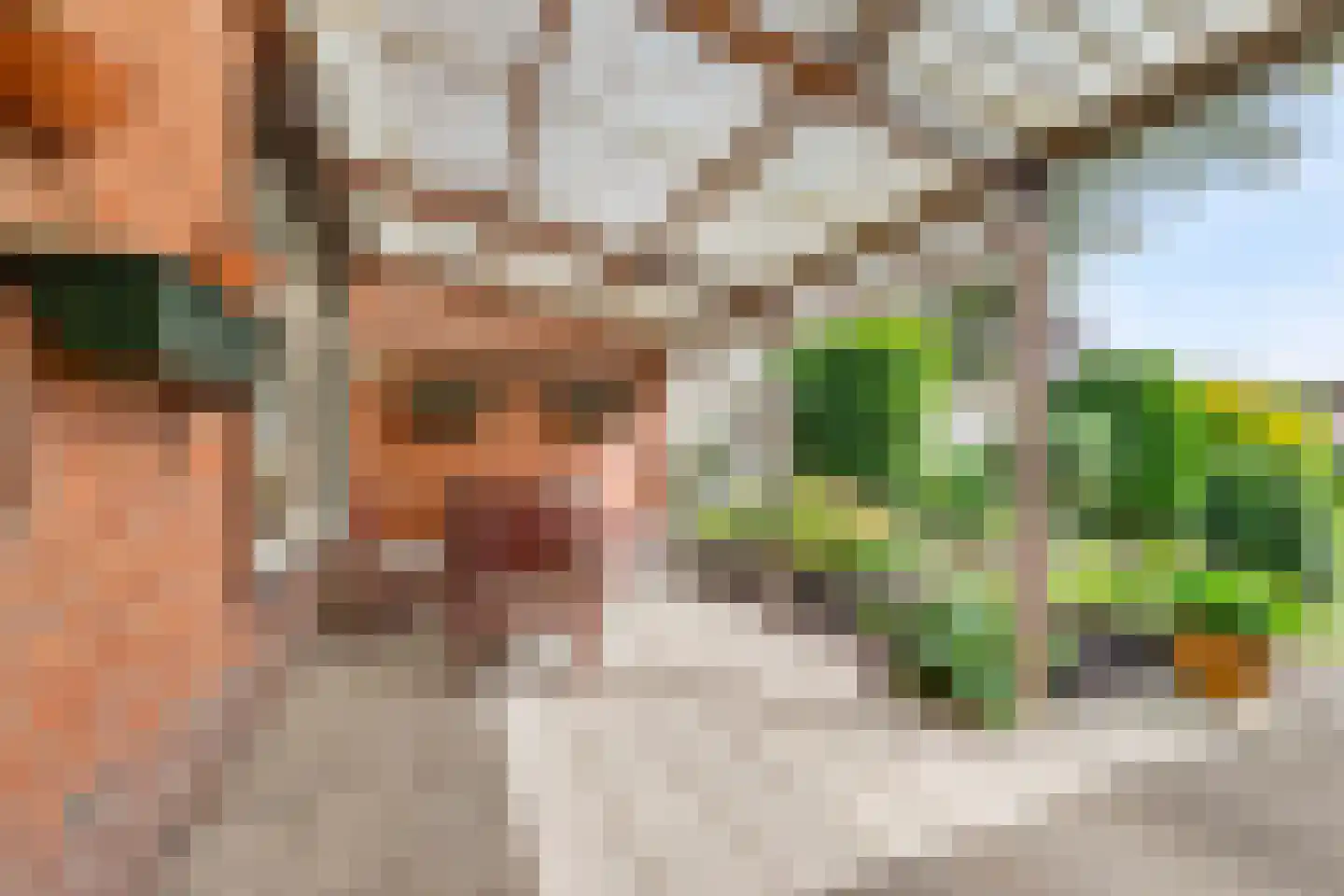 Zuiderlaan 19 Didam thumbnail 14