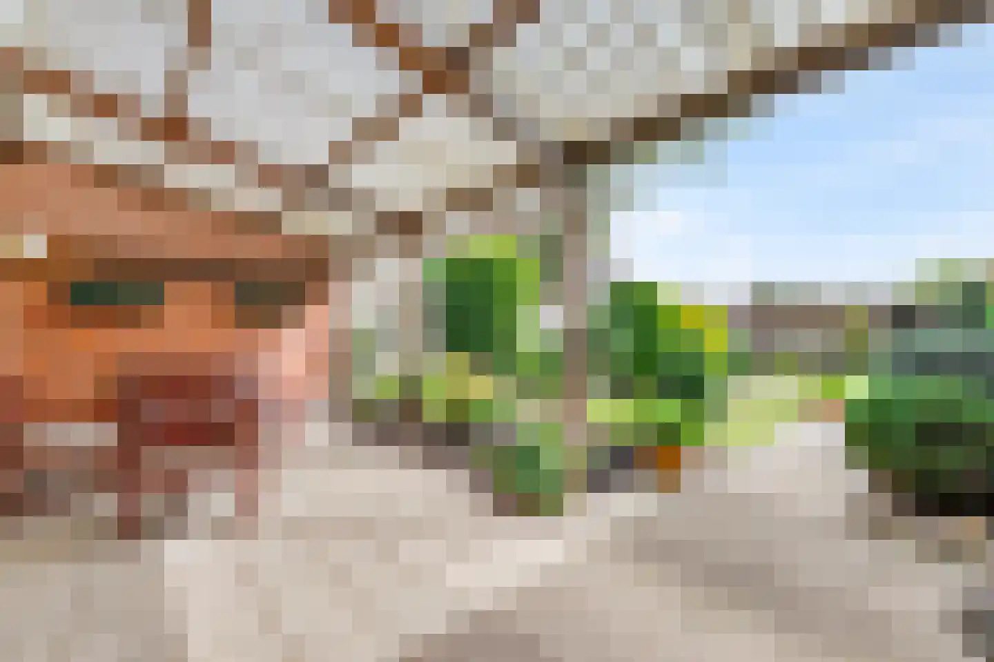 Zuiderlaan 19 Didam thumbnail 15
