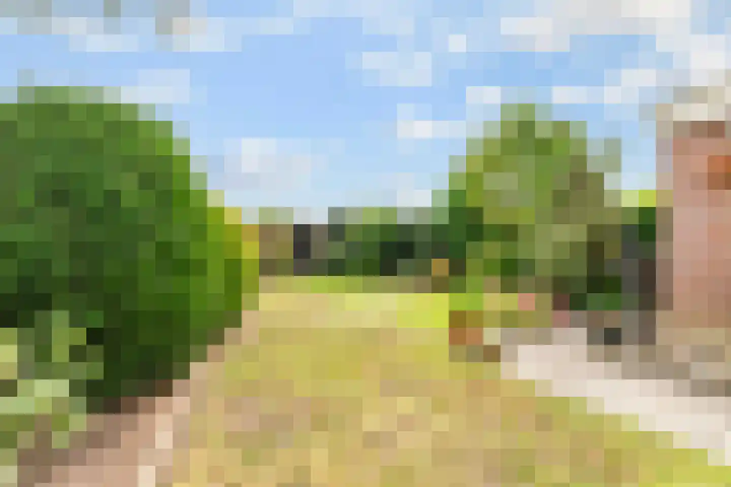 Zuiderlaan 19 Didam thumbnail 16