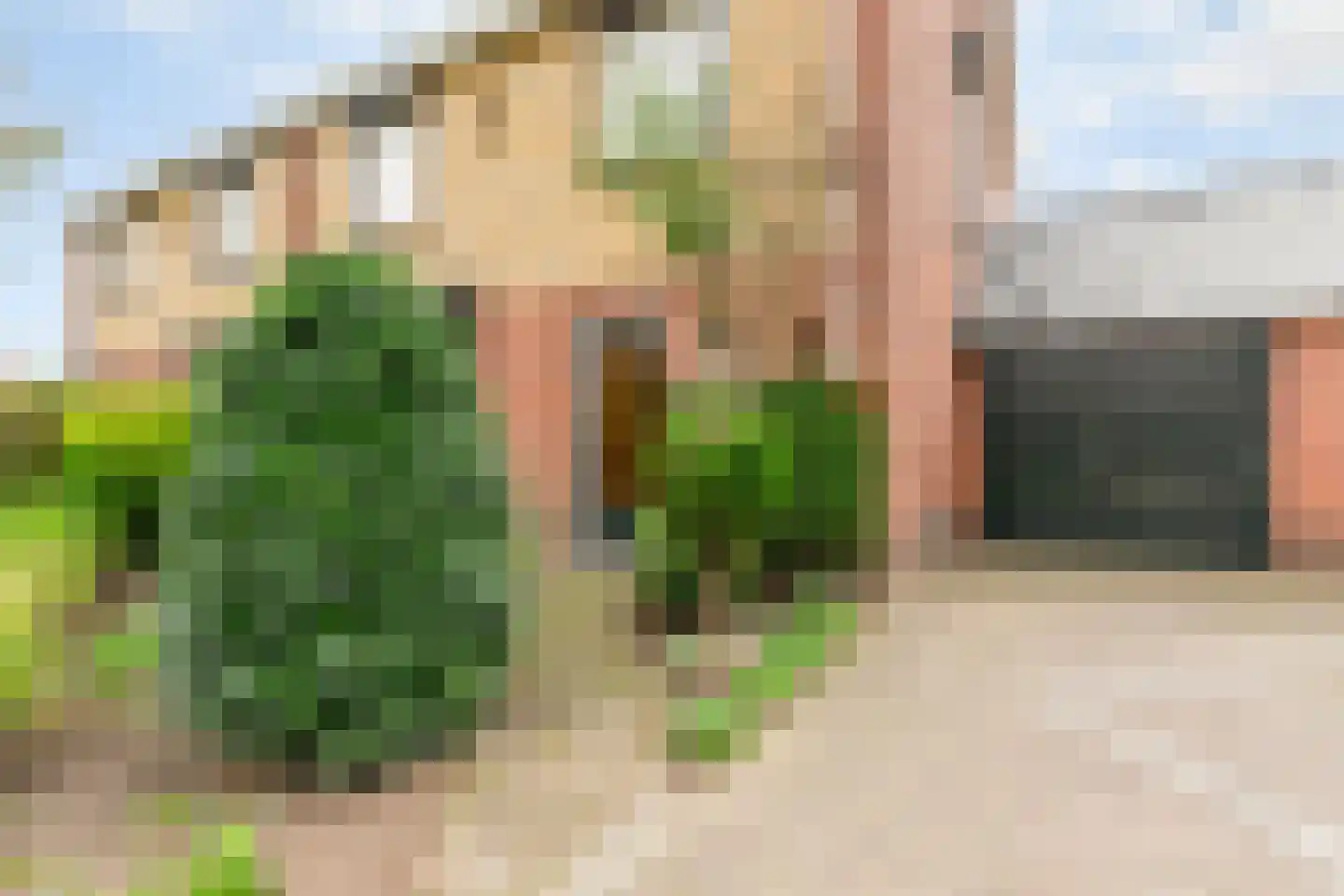 Zuiderlaan 19 Didam thumbnail 30
