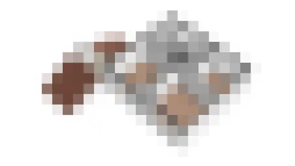 Zuiderlaan 19 Didam thumbnail 36