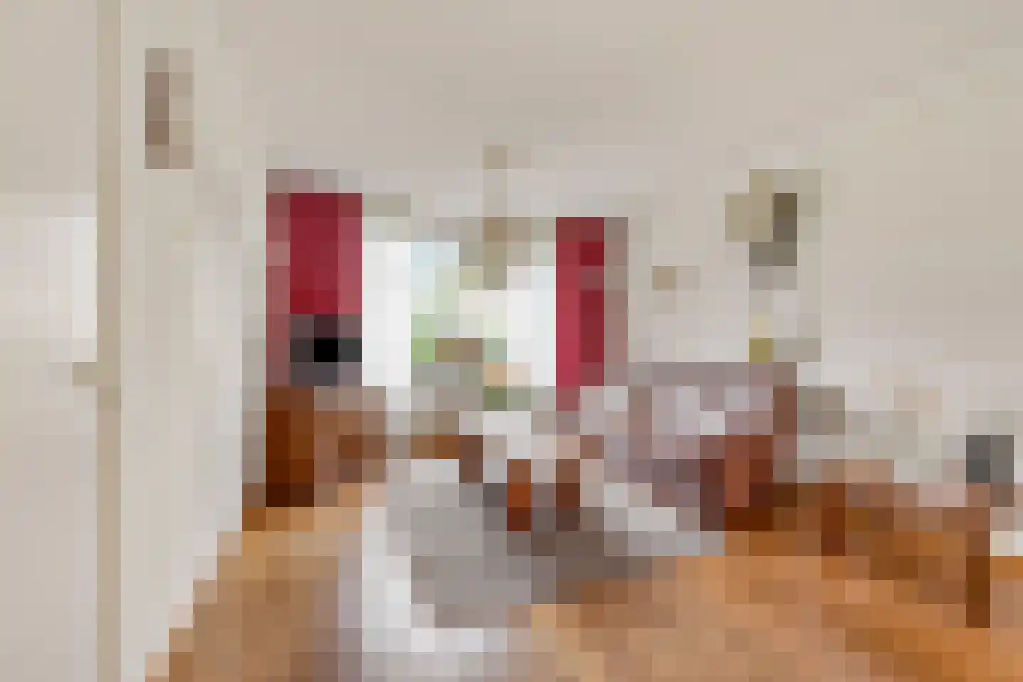 Zuiderlaan 19 Didam thumbnail 5