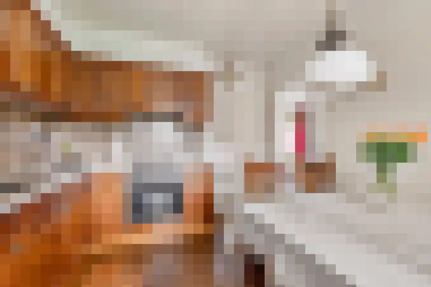 Zuiderlaan 19 Didam thumbnail 9