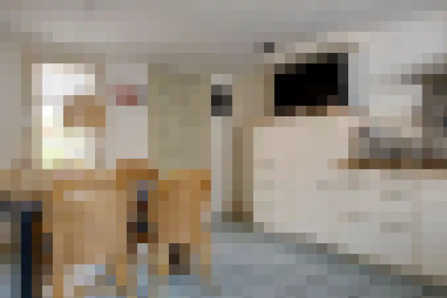 Zuiderlaan 19 Hoogezand thumbnail 27