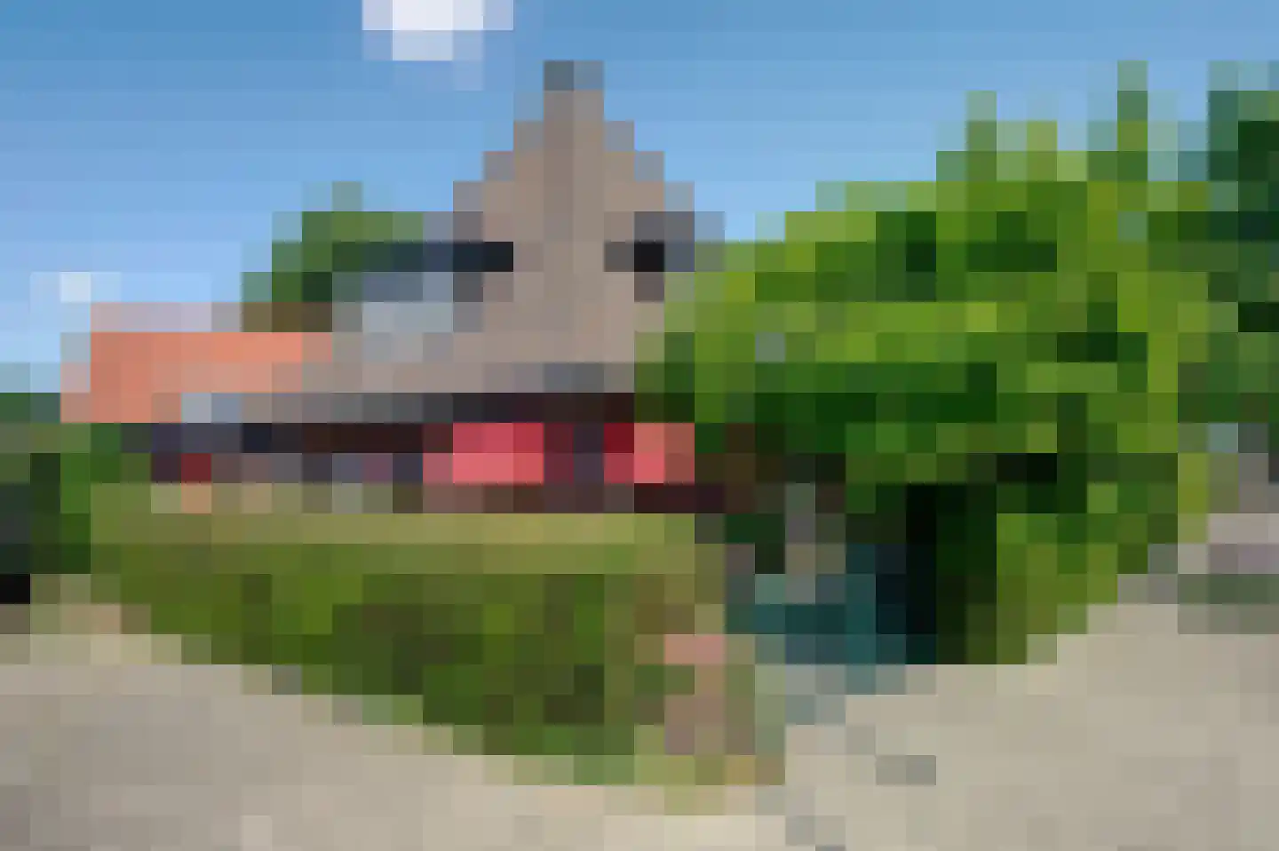 Zuiderlaan 19 Hoogezand foto 3