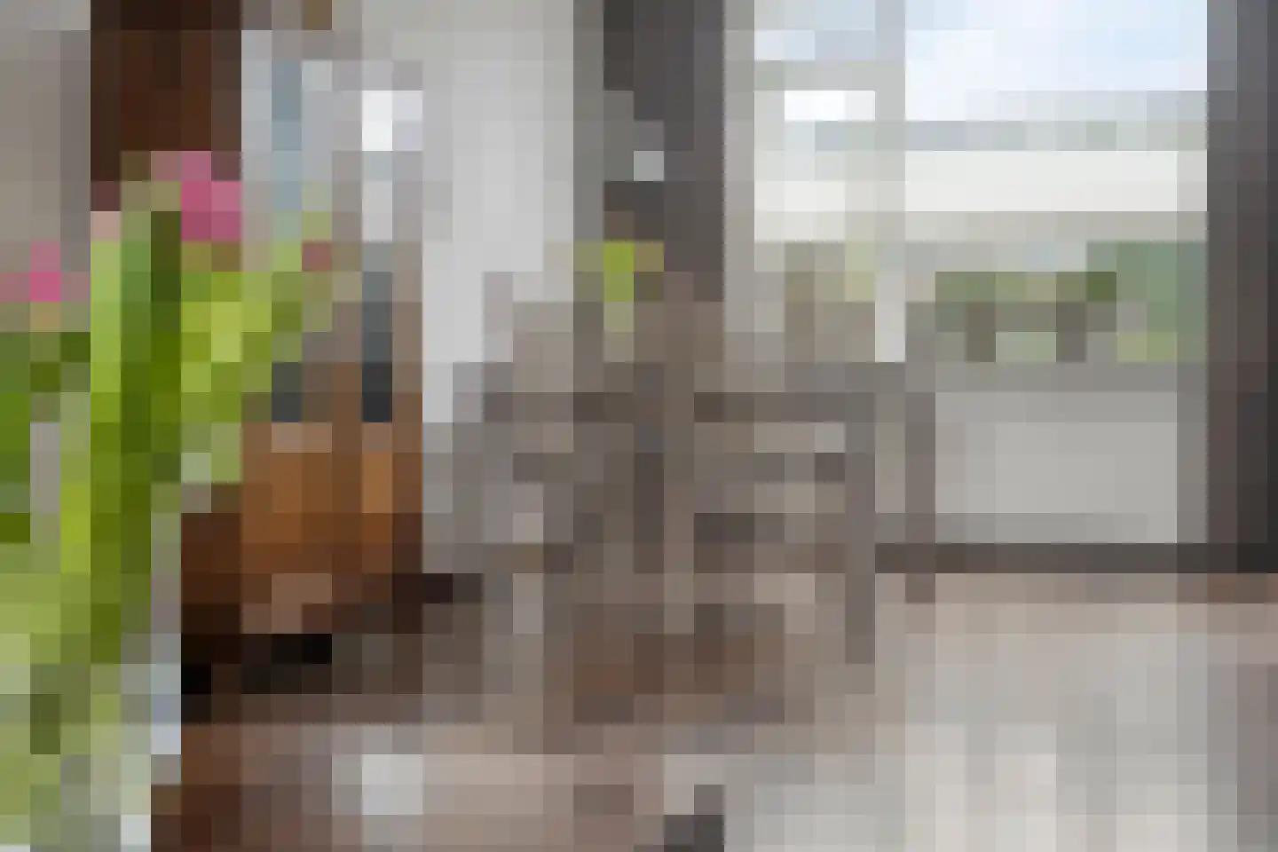 Zuiderlaan 3 Apeldoorn thumbnail 11